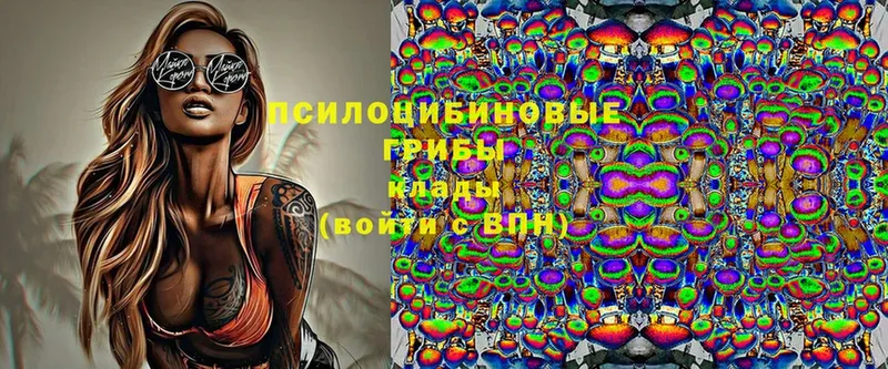 Псилоцибиновые грибы Magic Shrooms  Покровск 